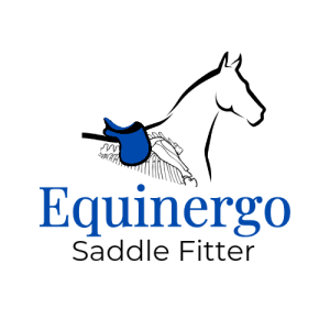 equinergo - logo tête de cheval avec selle bleu